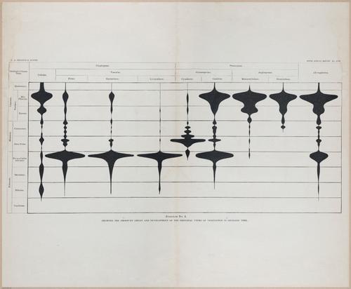 E366 - US Geological Survey - 1885 - 17235-17236