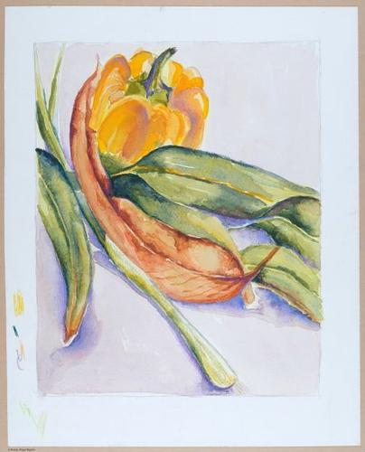 Veggies, Parrott Drive still life,&nbsp;pencil / watercolors