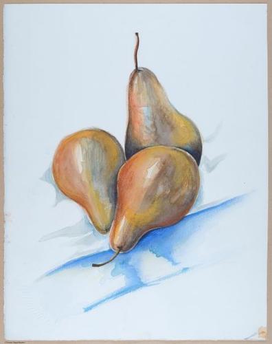 Parrott Drive pears. &nbsp;Pencil / watercolors