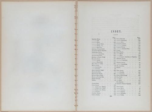 E395 - Breiman Audubon animals - i18453