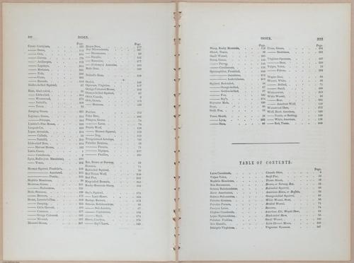 E395 - Breiman Audubon animals - i18454-18455