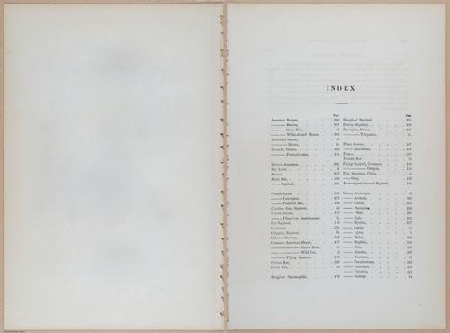 E395 - Breiman Audubon animals - i18457