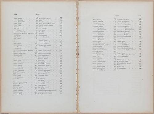 E395 - Breiman Audubon animals - i18458-18459