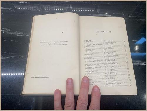 E400 - Practical Poultry Book - 1871 - 3836 (3)