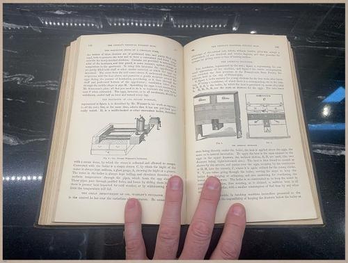 E400 - Practical Poultry Book - 1871 - 3836 (5)
