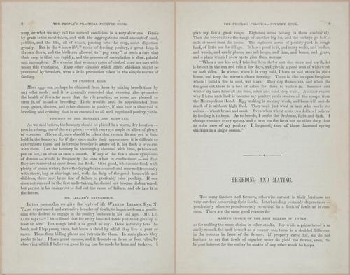 E400 - Practical Poultry Book - 1871 - 16684-16685