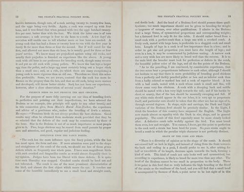 E400 - Practical Poultry Book - 1871 - 16688-16689