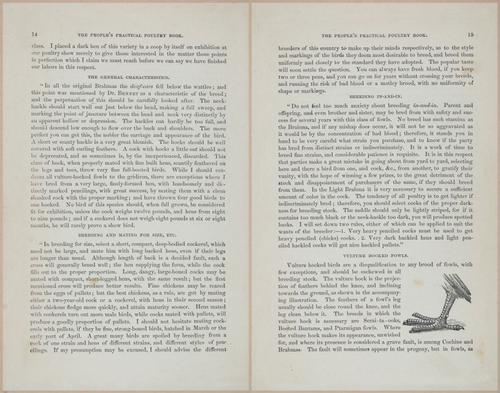 E400 - Practical Poultry Book - 1871 - 16690-16691