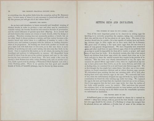 E400 - Practical Poultry Book - 1871 - 16692-16693