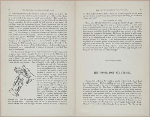 E400 - Practical Poultry Book - 1871 - 16697-16698