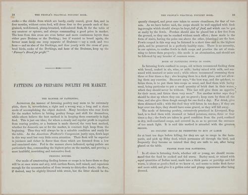 E400 - Practical Poultry Book - 1871 - 16701-16702