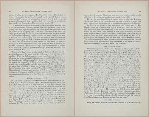 E400 - Practical Poultry Book - 1871 - 17078-17079
