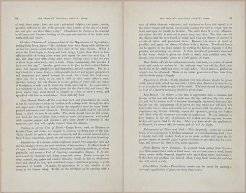E400 - Practical Poultry Book - 1871 - 17084-17085
