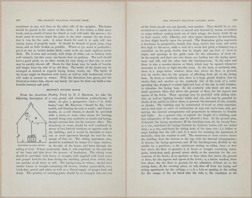 E400 - Practical Poultry Book - 1871 - 17094-17095