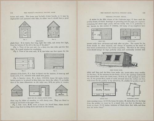 E400 - Practical Poultry Book - 1871 - 17100-17101