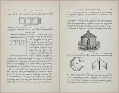 E400 - Practical Poultry Book - 1871 - 17108-17109