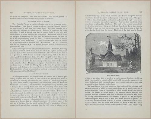 E400 - Practical Poultry Book - 1871 - 17110-17111