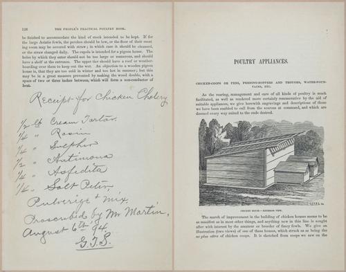 E400 - Practical Poultry Book - 1871 - 17112-17113