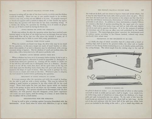 E400 - Practical Poultry Book - 1871 - 17130-17131