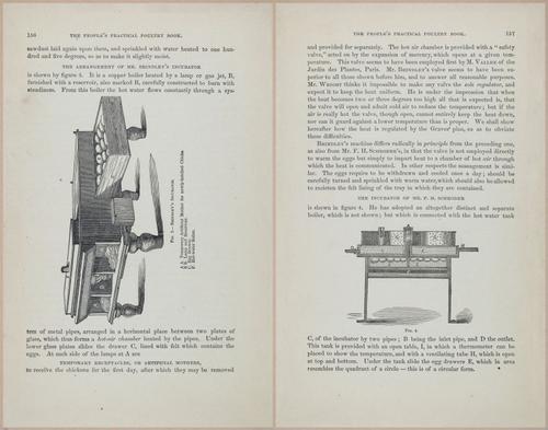 E400 - Practical Poultry Book - 1871 - 17142-17143
