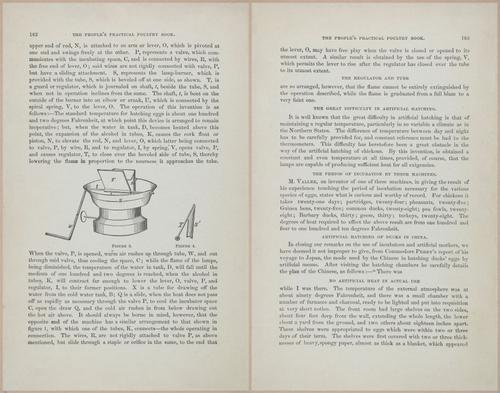 E400 - Practical Poultry Book - 1871 - 17148-17149