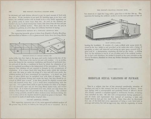 E400 - Practical Poultry Book - 1871 - 17152-17153
