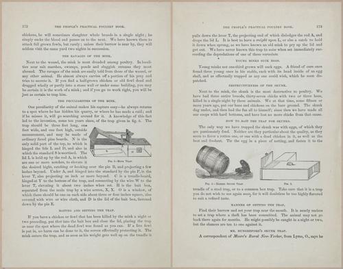 E400 - Practical Poultry Book - 1871 - 17158-17159