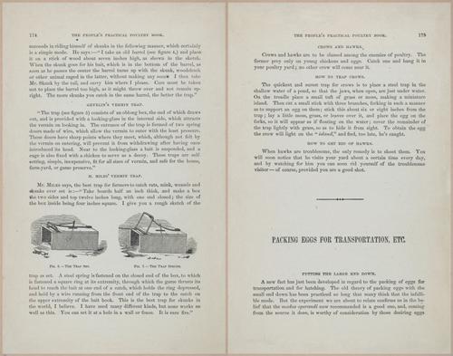 E400 - Practical Poultry Book - 1871 - 17160-17161