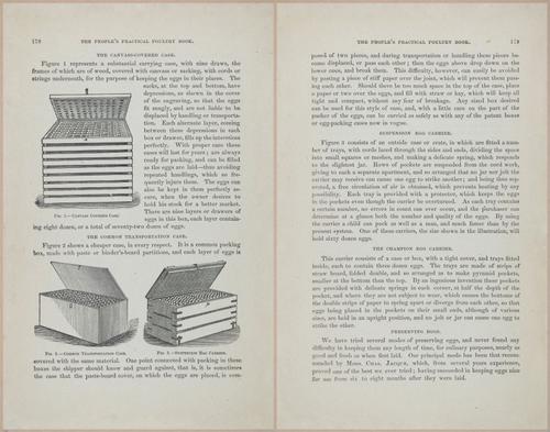 E400 - Practical Poultry Book - 1871 - 17164-17165