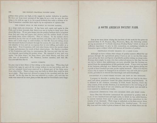 E400 - Practical Poultry Book - 1871 - 17172-17173