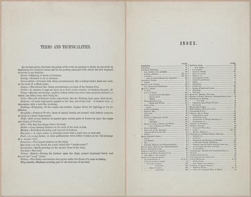 E400 - Practical Poultry Book - 1871 - 17202-17203