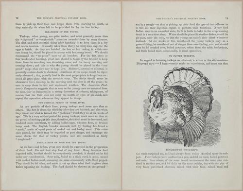 E400 - Practical Poultry Book - 1871 - 17058-17059