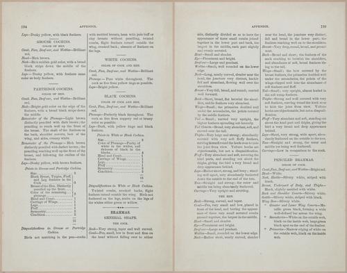 E400 - Practical Poultry Book - 1871 - 17179-17180