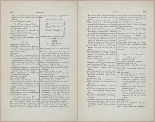 E400 - Practical Poultry Book - 1871 - 17185-17186
