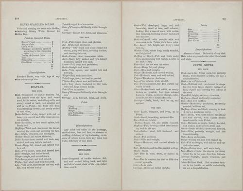 E400 - Practical Poultry Book - 1871 - 17195-17196