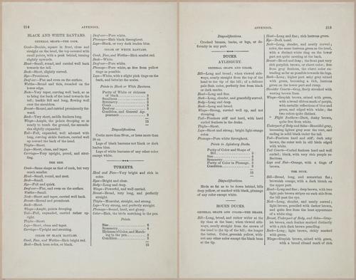 E400 - Practical Poultry Book - 1871 - 17199-17200