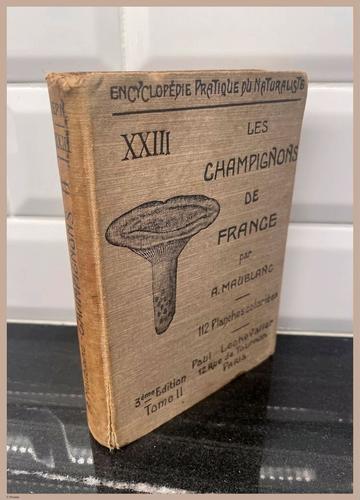 E409 - Les Champignons - i7078