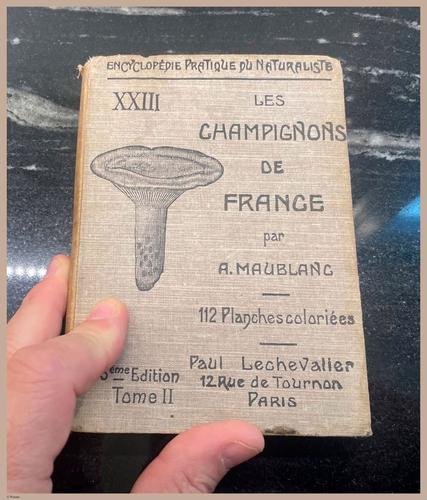 E409 - Les Champignons - i7079