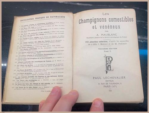 E409 - Les Champignons - i7080