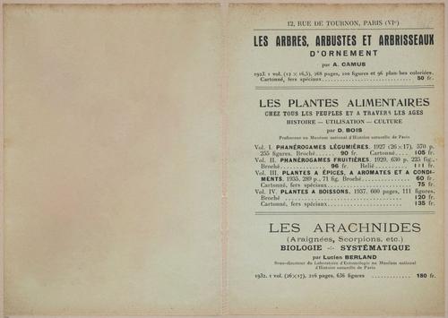 E409 - Les Champignons - i19309