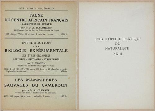 E409 - Les Champignons - i19310-19311