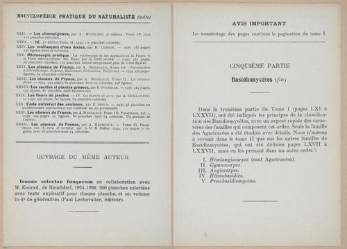 E409 - Les Champignons - i19314-19315
