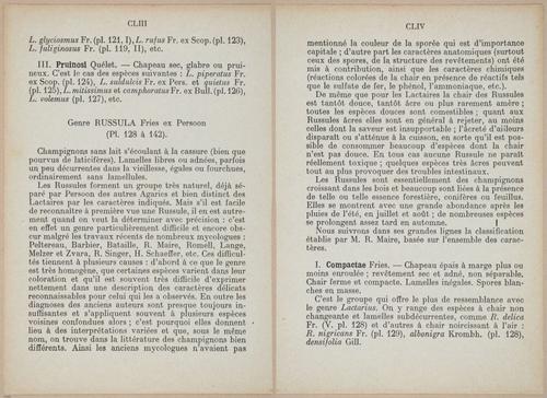 E409 - Les Champignons - i19320-19321