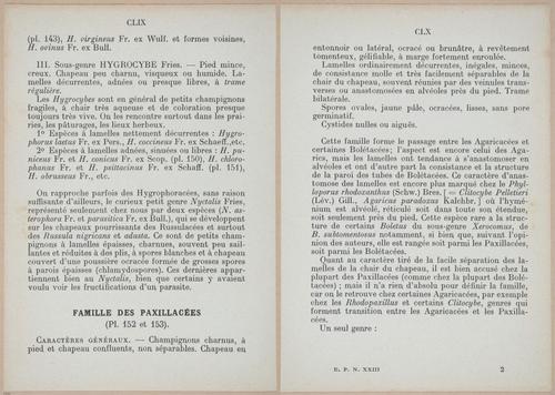 E409 - Les Champignons - i19326-19327