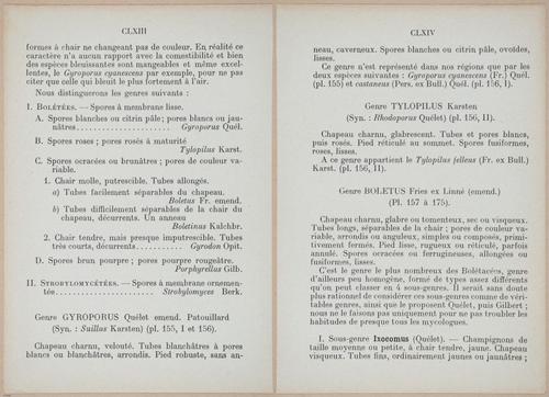 E409 - Les Champignons - i19330-19331