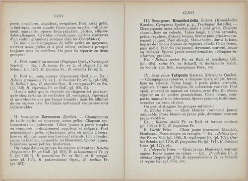 E409 - Les Champignons - i19332-19333