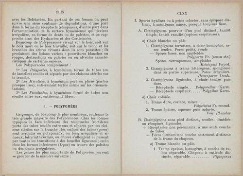 E409 - Les Champignons - i19336-19337