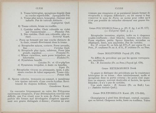 E409 - Les Champignons - i19338-19339