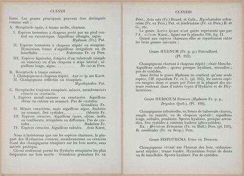 E409 - Les Champignons - i19350-19351