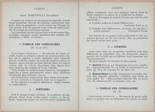 E409 - Les Champignons - i19354-19355